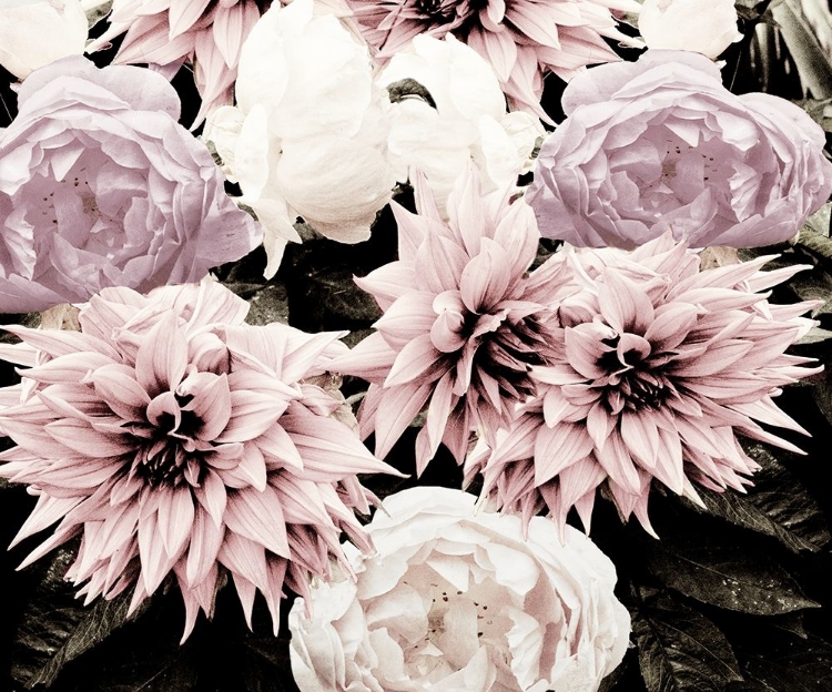 Picture of PINK WASHED GARDEN