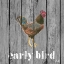 Picture of EARLY BIRD ROOSTER