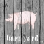 Picture of BARNYARD PIG