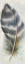 Picture of WATERCOLOR FEATHER VI
