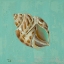 Picture of OCEANS GIFT II