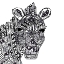 Picture of COLORING BOOK ZEBRA