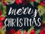 Picture of POINSETTIAS AND GREETINGS I