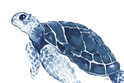 Picture of TURTLE IN THE BLUES