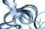 Picture of OCTOPUS IN THE BLUES