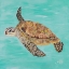 Picture of SEA TURTLE II