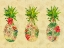 Picture of TRIPLE TROPICAL PINEAPPLE COLLAGE