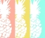 Picture of MODERN PINEAPPLE TRIO