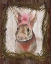 Picture of WOODLAND ANIMALS II