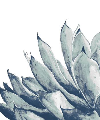 Picture of BLUE AGAVE ON WHITE I