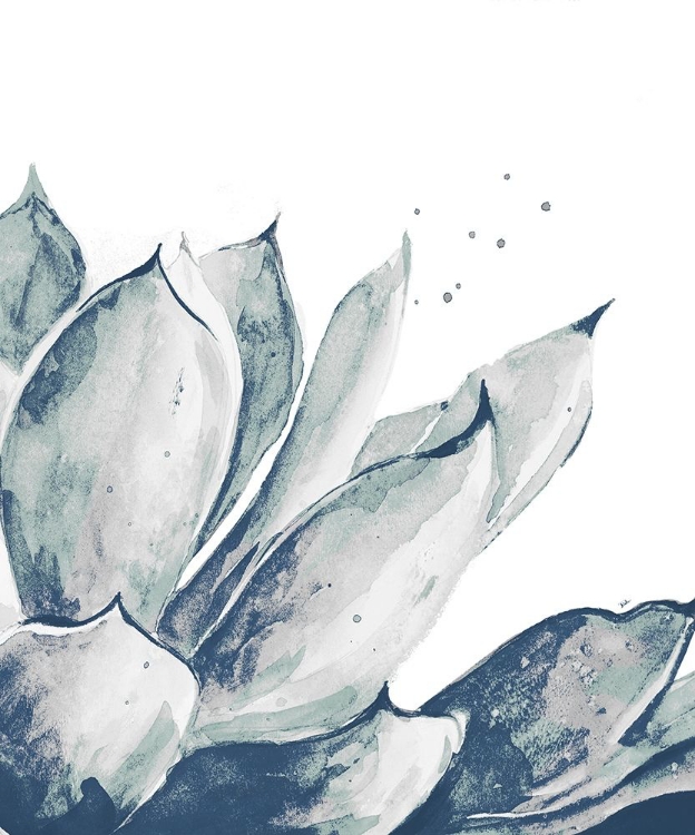 Picture of BLUE AGAVE ON WHITE II