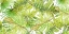 Picture of NEW GREEN SCATTERED PALMS