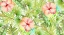 Picture of TROPICAL BREEZE