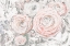 Picture of SOFT ROMANCE