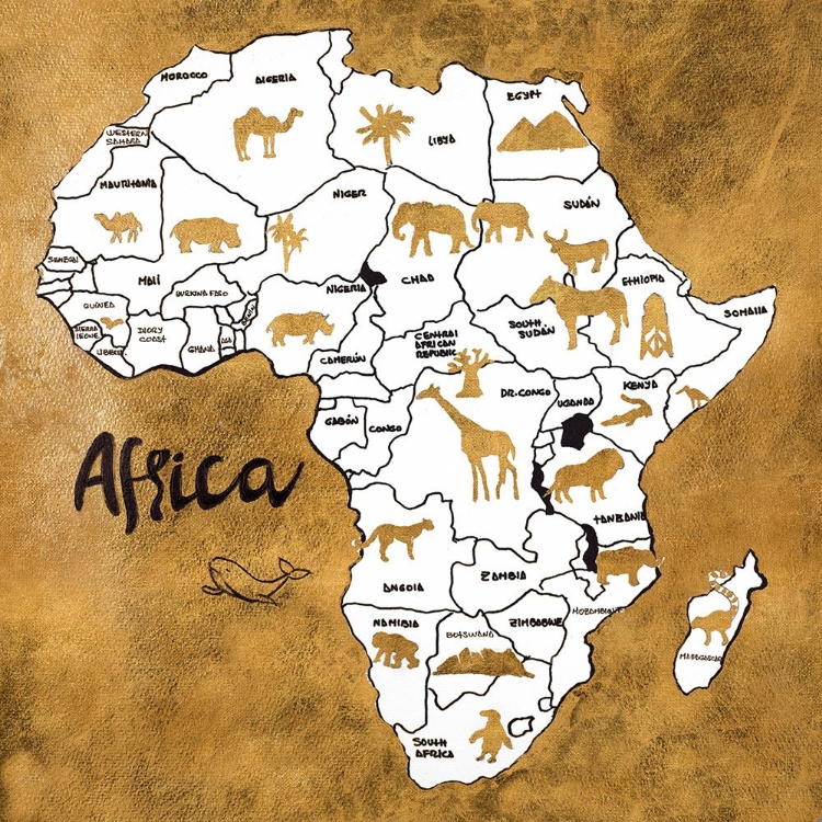 Picture of AFRICA MAP