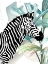 Picture of TROPICAL ZEBRA