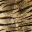 Picture of ZEBRA SKIN