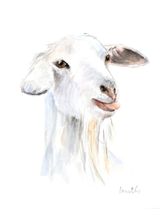 Picture of GOAT I