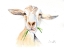 Picture of GOAT III