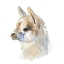 Picture of SIDE PORTRAIT LLAMA