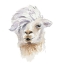 Picture of COMB OVER LLAMA