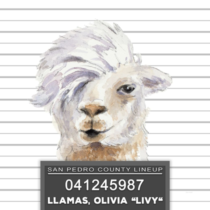 Picture of LLAMAS LIVY
