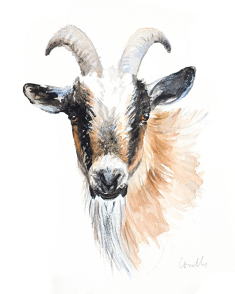 Picture of GOAT II