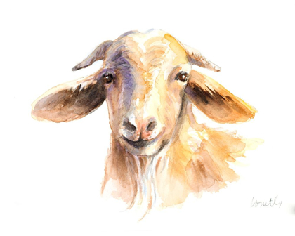 Picture of MORNING GOAT