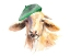 Picture of FRENCH GOAT
