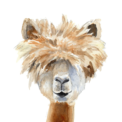 Picture of LLAMA WITH BANGS