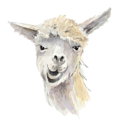 Picture of TALKING LLAMA