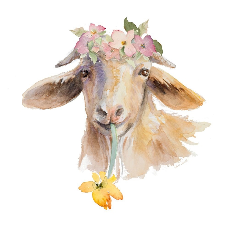 Picture of FLOWER GOAT