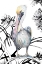 Picture of PELICAN ON BRANCH I