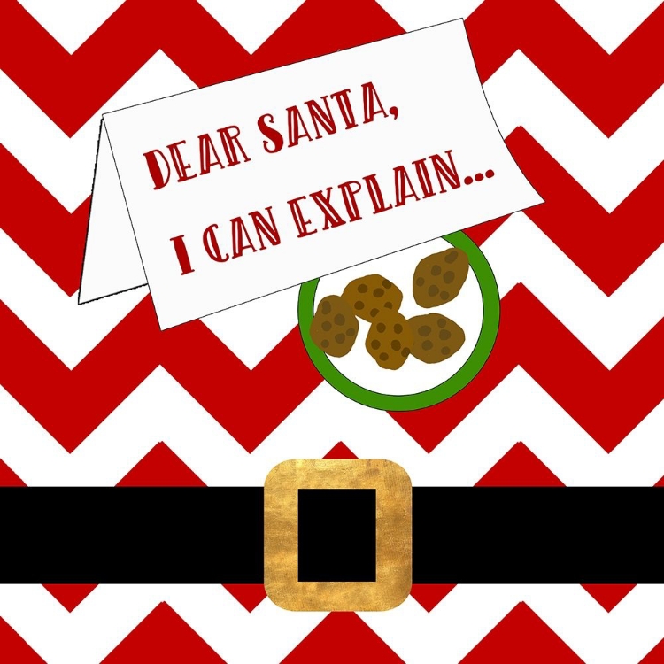 Picture of DEAR SANTA, I CAN EXPLAIN