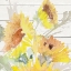 Picture of BLOOMING SUNFLOWER SQUARE III