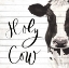 Picture of HOLY COW