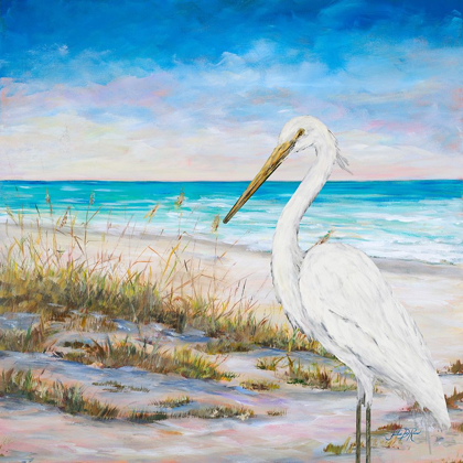 Picture of EGRET ON THE BEACH