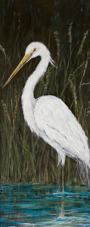 Picture of WHITE EGRET