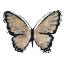 Picture of FLUTTER GOLD I