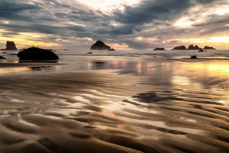 Picture of PACIFIC LOW TIDE