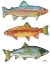 Picture of LAKE FISHING