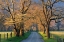 Picture of SUNSET PATH