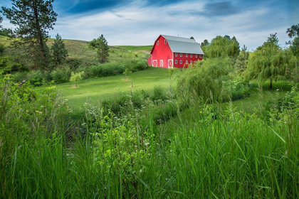 Picture of LITTLE FARM