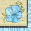 Picture of VIBRANT BLUE ISLAND FLOWER