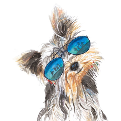 Picture of YORKIE WITH SHADES