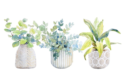 Picture of DECORATIVE PLANT TRIO I