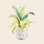 Picture of DECORATIVE POTTED PLANT I