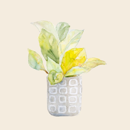 Picture of DECORATIVE POTTED PLANT II