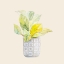 Picture of DECORATIVE POTTED PLANT II