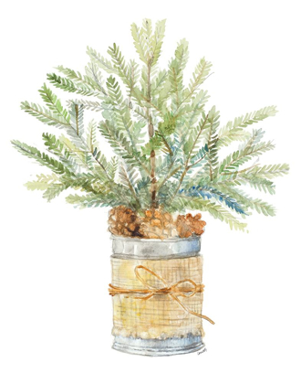 Picture of FIR TREE WITH BURLAP